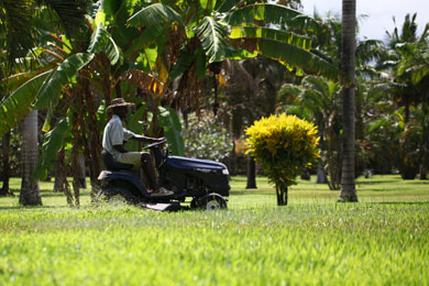 Large Villa in Diani Beach for big groups, Kenya