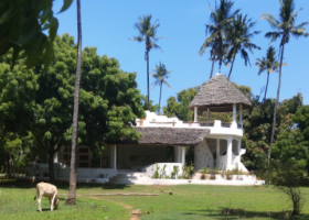 Unique Villa in Nature in Takaungu, Kilifi, Kenya